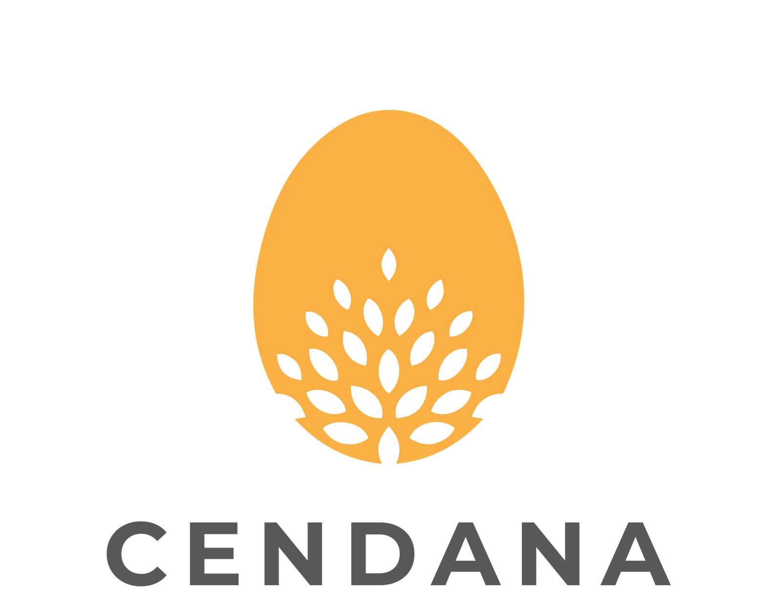log_cendana_paper_egg_tray