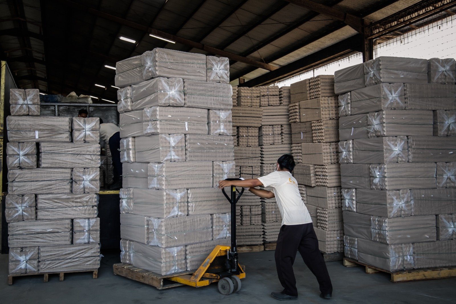 Stack of cardboard boxes on a wooden pallet wrapped in plastic